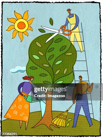 Three people caring for a tree Three people caring for a tree