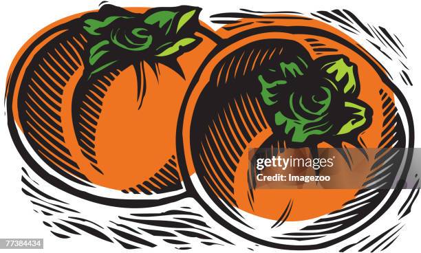 ilustrações, clipart, desenhos animados e ícones de persimmons - caqui fruta tropical