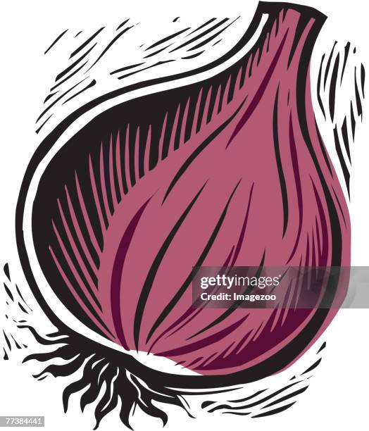 stockillustraties, clipart, cartoons en iconen met fresh purple onion - spaanse ui