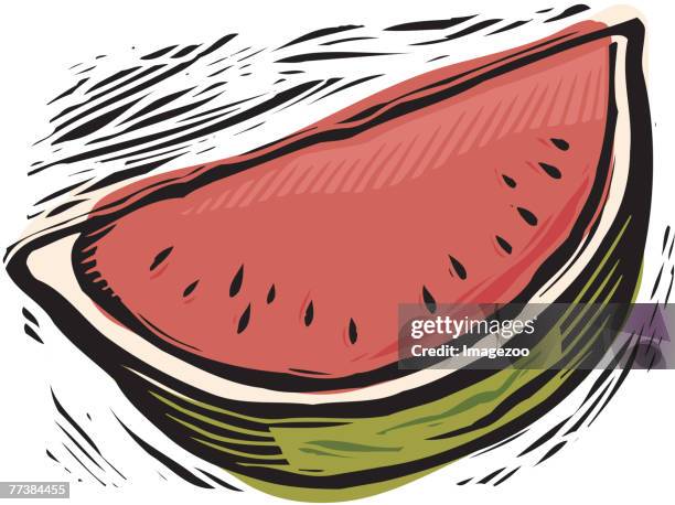 fresh watermelon slice - melon slice stock illustrations