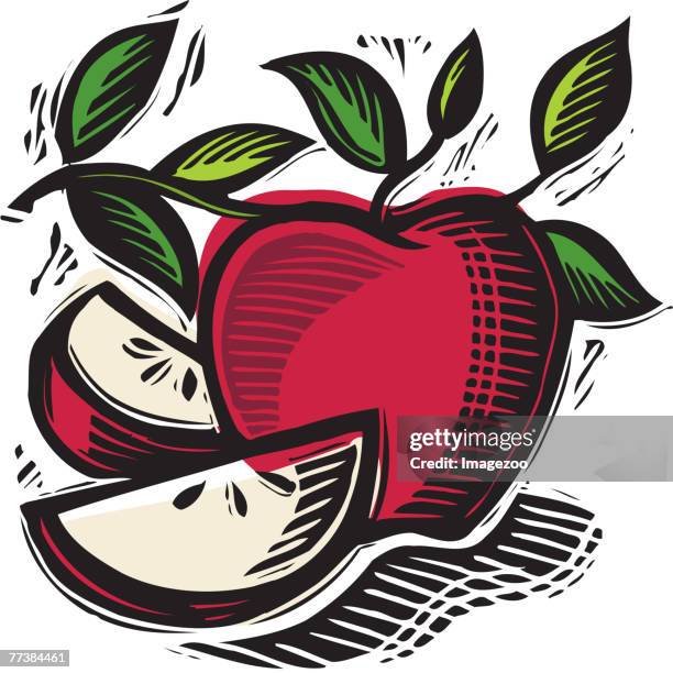 freshly sliced apples - apple half stock illustrations