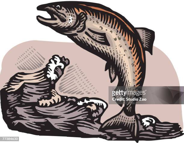 stockillustraties, clipart, cartoons en iconen met a fish jumping out of the water - salmon jumping