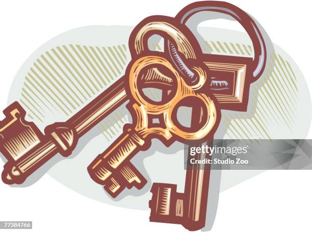 Seleton Key Drawing Skeleton Key Drawing Photos and Premium High Res Pictures - Getty Images