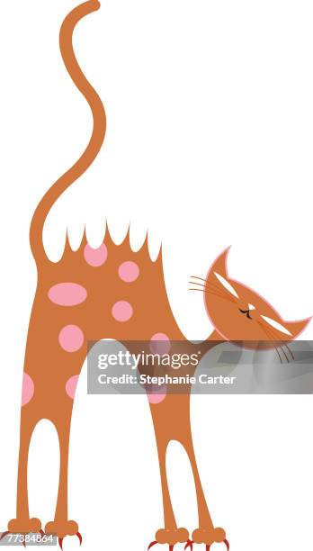 a spotted cat standing in a defensive stance - cat tail stock illustrations