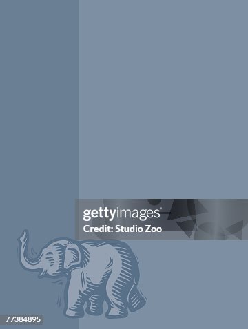 Elephant on blue background Elephant on blue background