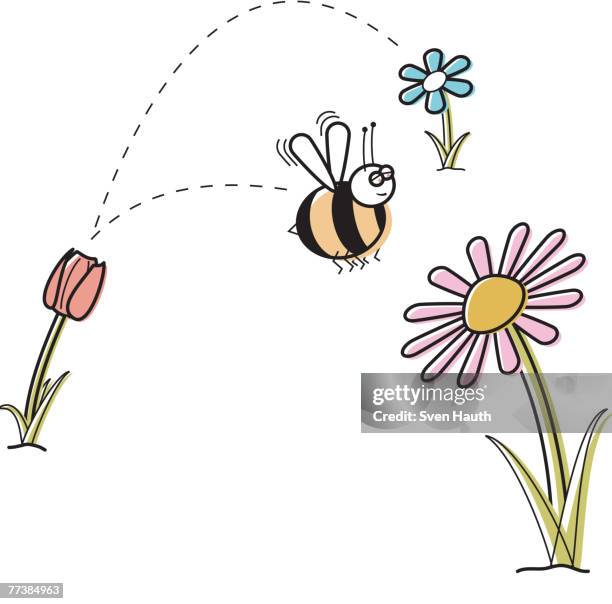 a bee collecting honey from one flower after another - worker bee stock-grafiken, -clipart, -cartoons und -symbole