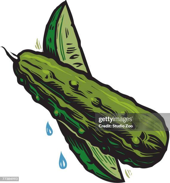an illustration of sliced pickles - dill pickle stock illustrations