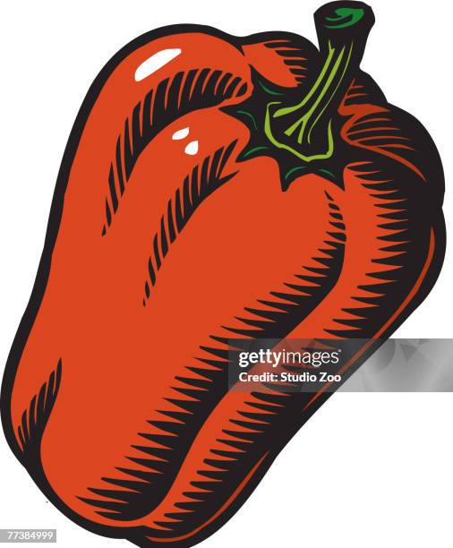 an illustration of a red pepper - fiber supplement stock illustrations