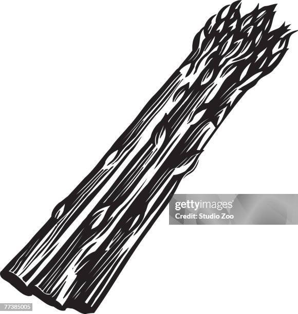 a bunch of asparagus in black and white - fiber supplement stock illustrations