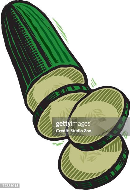 szo0561 - cucumber slices white background stock illustrations