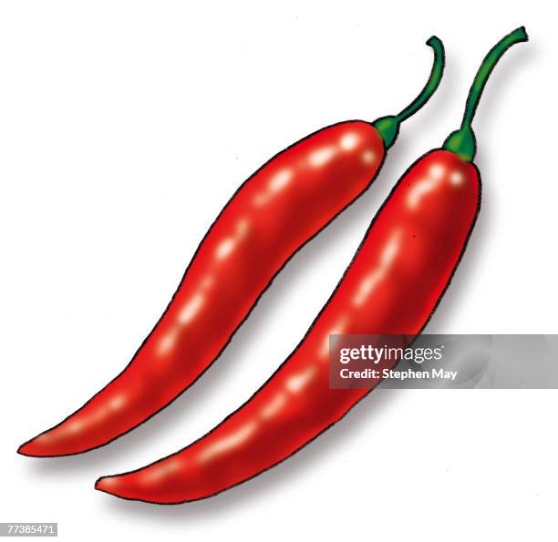 red chilies drawn against a white background - red chili pepper white background stock illustrations