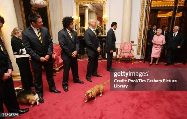 Queen Elizabeth II meets players and officials from the New Zealand Rugby League Team, the All Golds, inside the Bow Room at Buckingham Palace on...