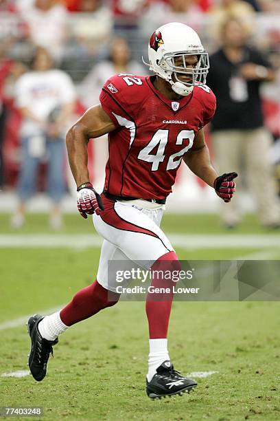Free safety Terrence Holt of the Arizona Cardinals in pursuit during a game against the Carolina Panthers on October 14, 2007 at the University of...