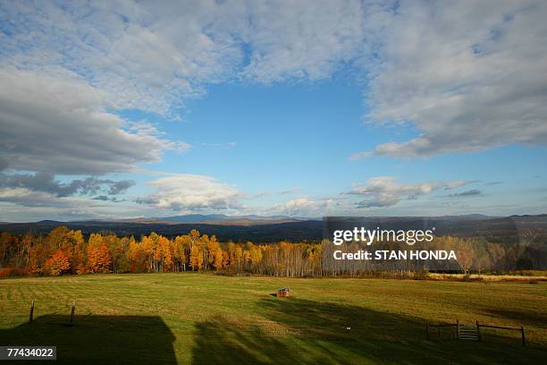 With the Green Mountains in the background, the rising sun illuminates a stand of trees as leaves show their fall colors, 20 October 2007, in this...