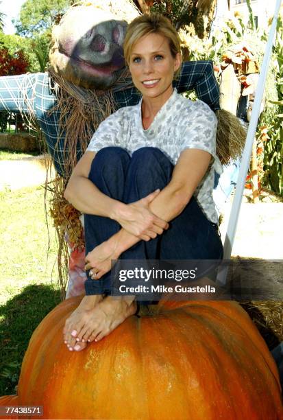 Actress Cheryl Hines attends Camp Ronald McDonald For Good Times 15th Annual Family Halloween Carnival at Wadsworth Theater/VA Grounds on October 21,...
