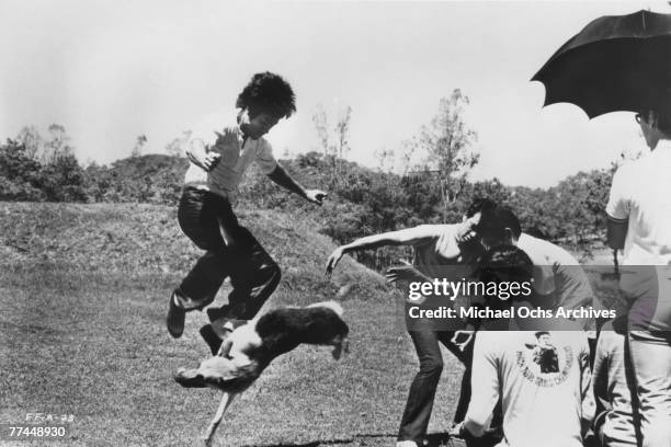 Bruce Lee fights a dog in a scene from the Kung Fu classic Fists Of Fury in 1971 in Hong Kong China.