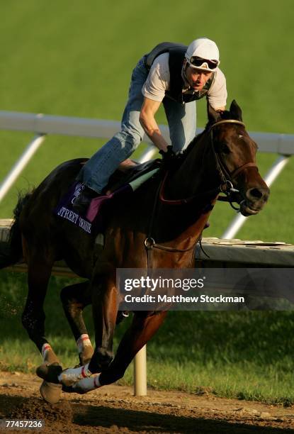 Kentucky Derby winner Street Sense, riden by Calvin Borel, makes his way around the track October 23, 2007 in preparation for the Breeders' Cup at...