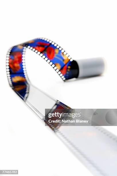 uncut slide film escaping from its plastic canister - film canister stock pictures, royalty-free photos & images