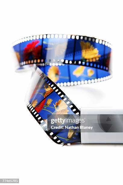 uncut slide film escaping from its plastic canister - film canister stock pictures, royalty-free photos & images