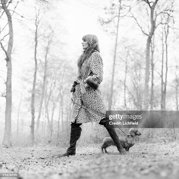 British model and former Fashion Editor of British Vogue, Grace Coddington, walking a dachshund in woods in Marlow, Buckinghamshire on 18th March...