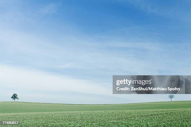 green field with two trees - distancia media fotografías e imágenes de stock