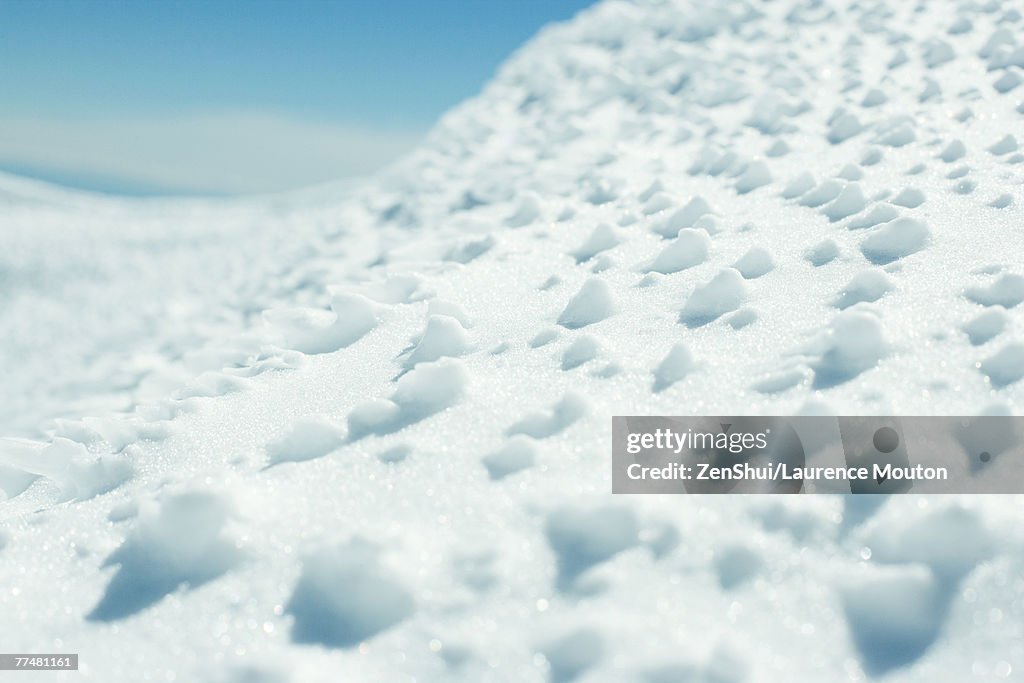 Snow, close-up