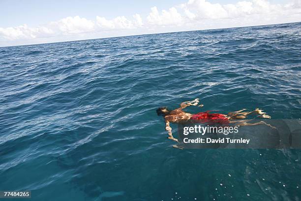 World famous big wave surfer Laird Hamilton looks for dolphins along the Nepali coastline in Hawaii.