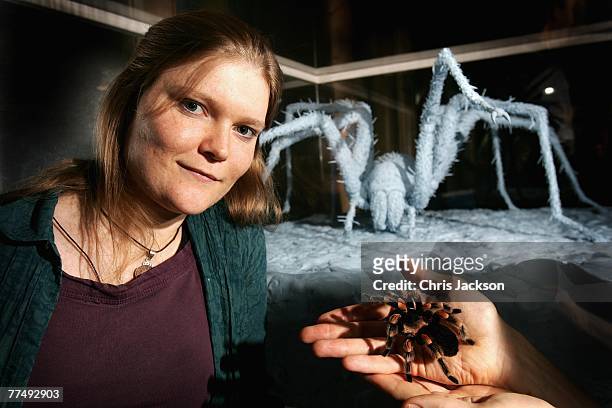 Artist Elizabeth Thompson poses next to her Blu-tack Spider sculpture and a real life red kneed spider at London Zoo on October 25, 2007 in London,...