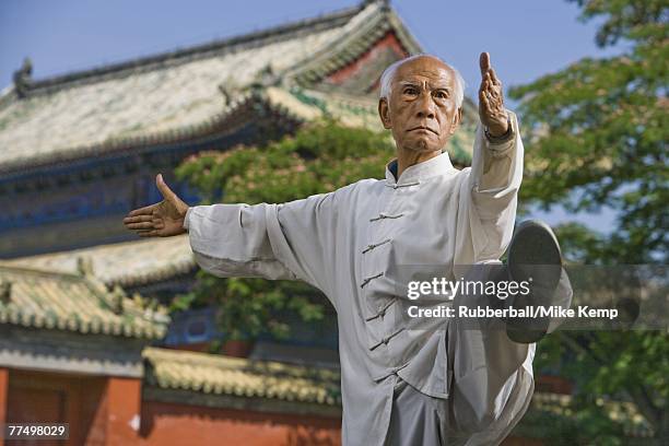 man doing kung fu outdoors with pagoda in background - kung fu fotografías e imágenes de stock