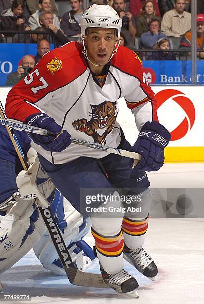 Anthony Stewart of the Florida Panthers skates against the Toronto Maple Leafs on October 18, 2007 at the Air Canada Centre in Toronto, Ontario,...