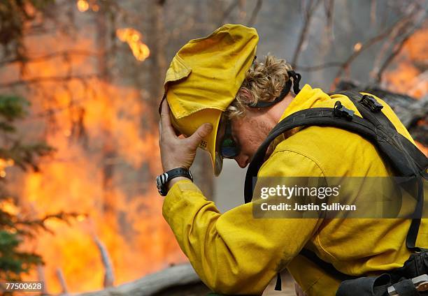 Depratment of Forestry firefighter Andre Stoner shields his face from the heat of a back fire that was set in an attempt to stop the Slider fire from...