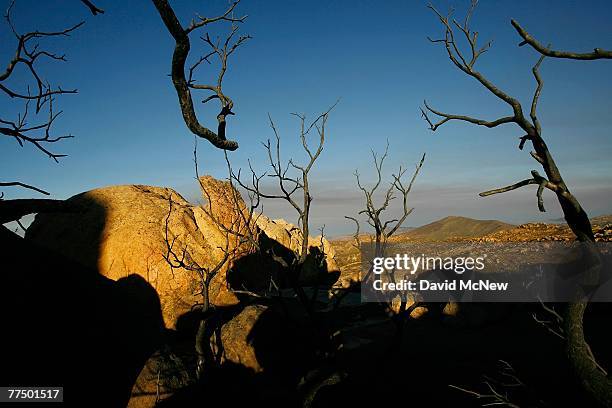 Rocky hills previously covered with thick chaparral brush are converted to charred branches in a blackened land after strong winds pushed the Harris...