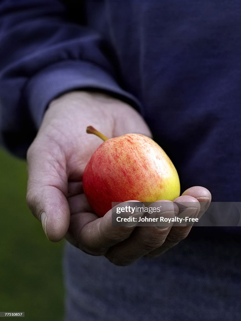 An apple in a hand Sweden.