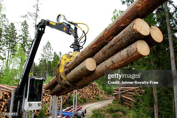 a lifting crane with timber. - logging stock pictures, royalty-free photos & images