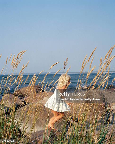 girl running on the rocks by the ocean oland sweden. - oland stock-fotos und bilder