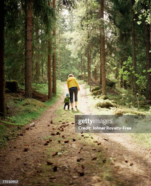 a woman and a child walking in the forest linkoping sweden. - woman and child in forest stock pictures, royalty-free photos & images