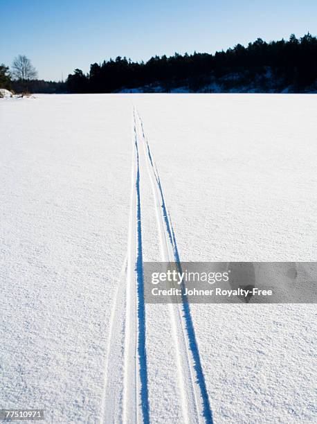 skiing track stockholm sweden. - cross country skiing tracks stock pictures, royalty-free photos & images