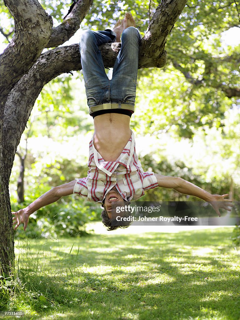 A man hanging upside down on a tree branch Stockholm Sweden.