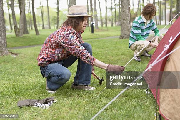 men ptching a tent - guy rope stock pictures, royalty-free photos & images