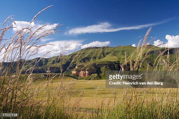 sandstone cliffs in the eastern highlands of south africa. golden gate national park, free state province, south africa - freek van den bergh stock pictures, royalty-free photos & images