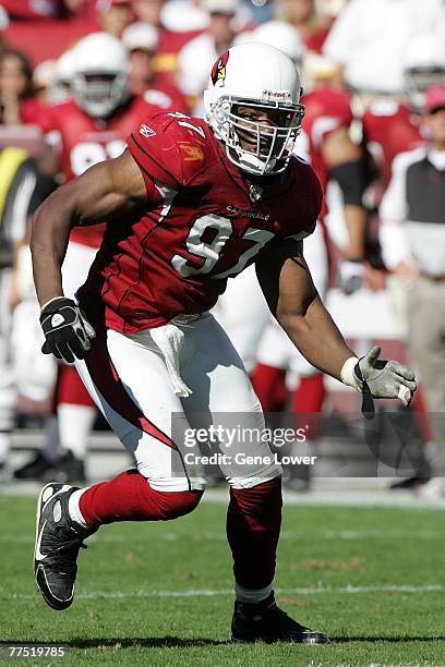 Linebacker Calvin Pace of the Arizona Cardinals in pursuit during a game against the Washington Redskins on October 21, 2007 at FedEx Field in...