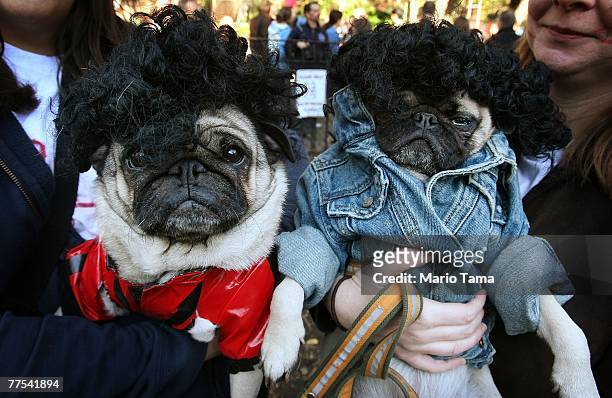 Rudy poses as Michael Jackson and Parker poses as his girlfriend in the "Thriller" video during the 17th annual Tompkins Square Halloween Dog Parade...