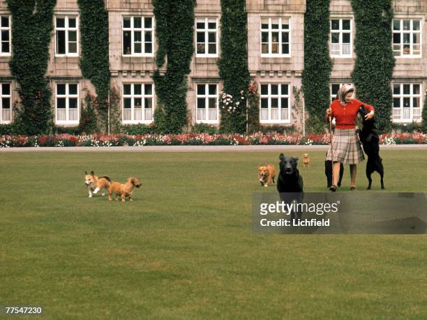 The Queen with her dogs on the lawn in front of Balmoral Castle, Scotland during the Royal Family's annual summer holiday in September 1971. Part of...