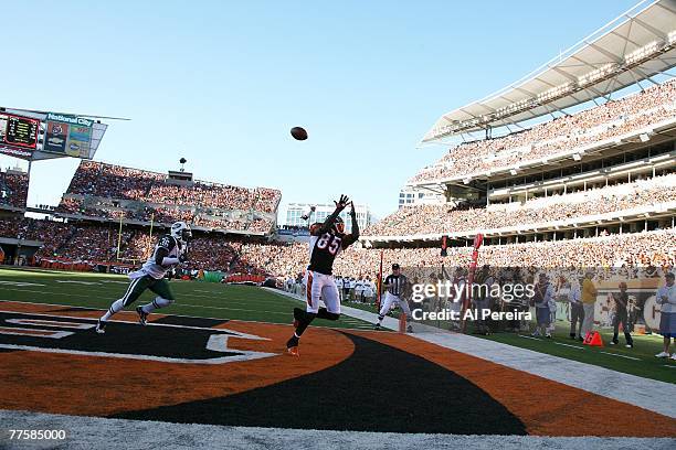 Wide Receiver Chad Johnson of the Cincinnati Bengals stretched for a ball against the New York Jets at Paul Brown Stadium in Cincinnati, Ohio on...