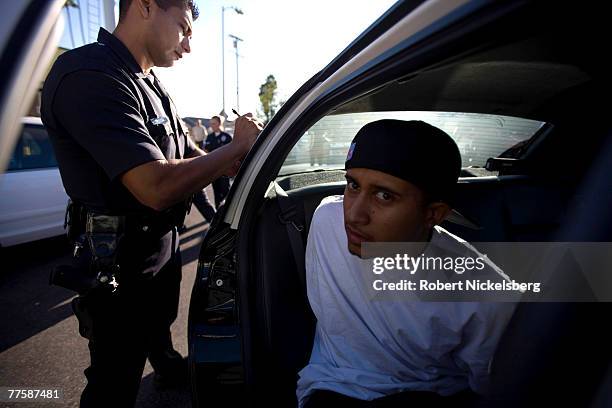 Los Angeles Police Department gang unit officers take into custody four passengers of a stolen vehicle September 13, 2007 in the Rampart area of Los...