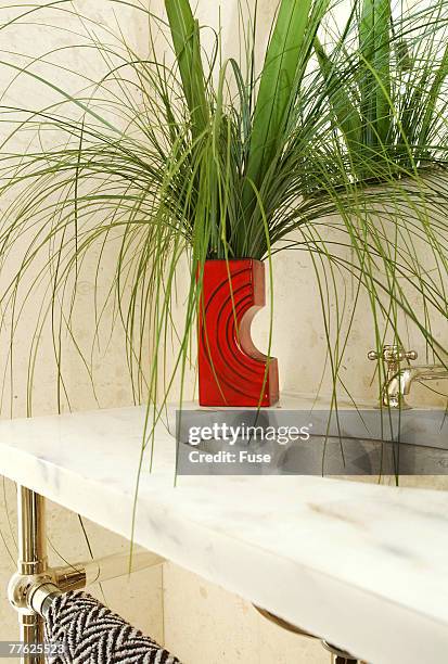 plant in pot kept near sink - bathroom pot plant stock-fotos und bilder