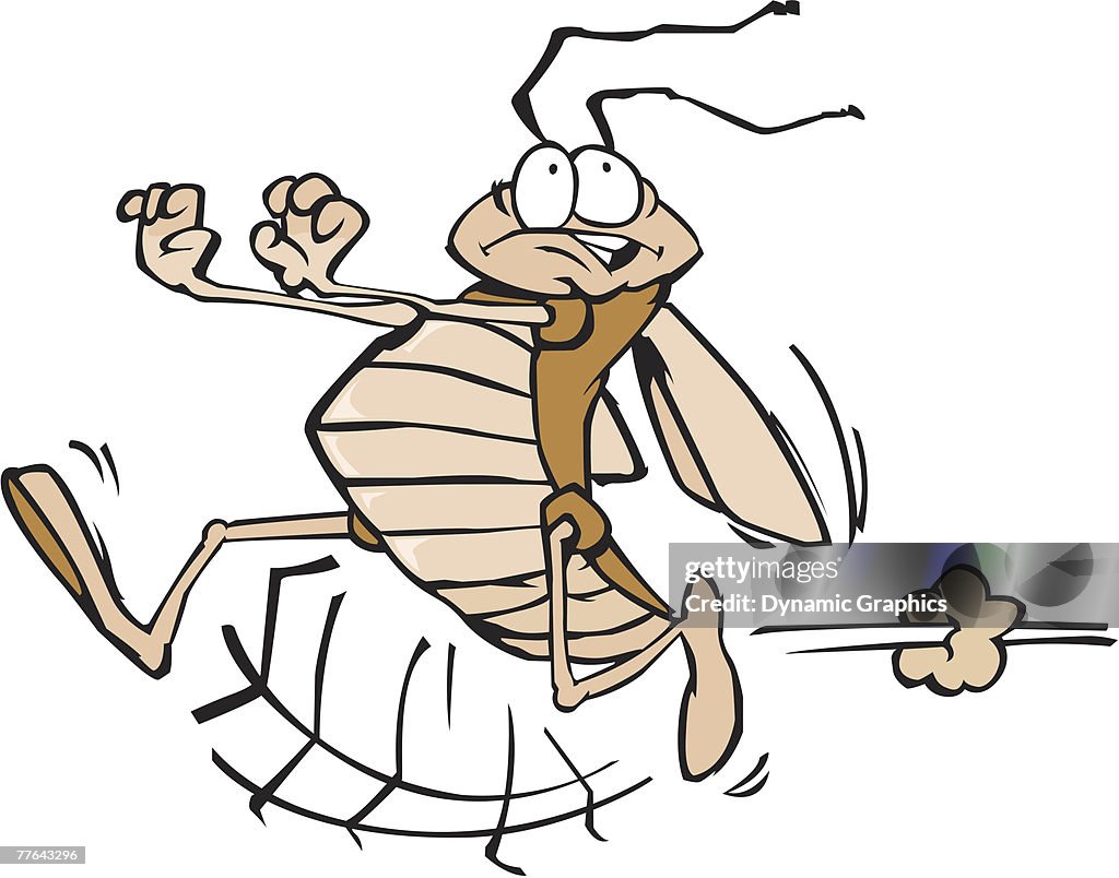 Termites Running Running Termite High-Res Vector Graphic - Getty Images