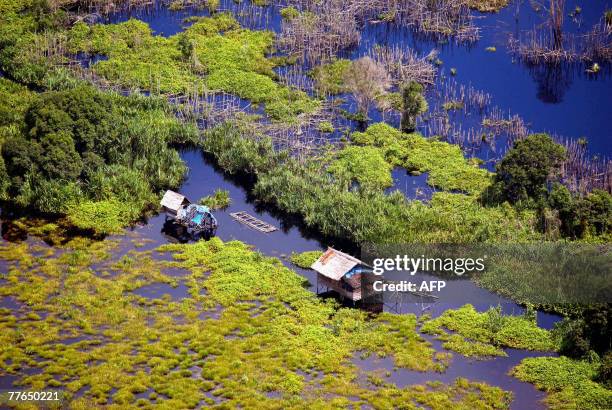 Two huts, built on natural peat, are seen outside Pekanbaru, Riau, 02 November 2007. Annually, Riau losses about 182.140 hectars of its peat,...