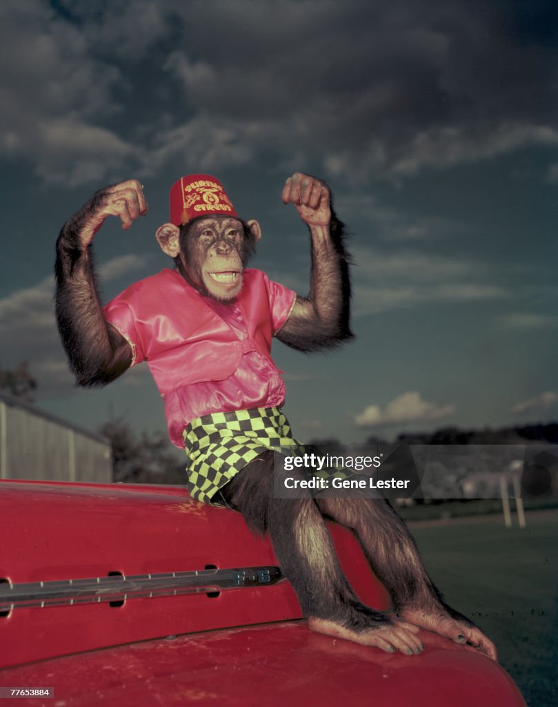 Sammy The Shriner