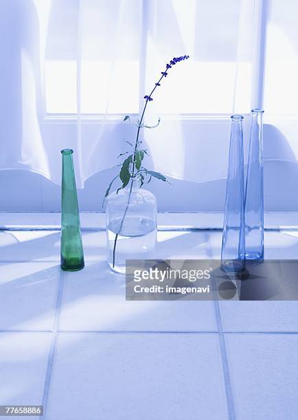 herbs and glass bottles - light blue tiled floor stock pictures, royalty-free photos & images